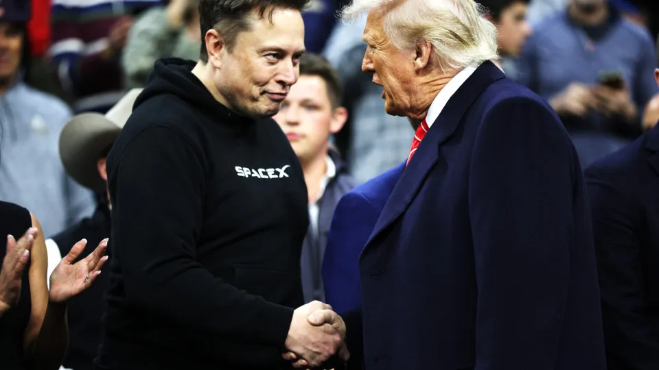 elon musk, donald trump