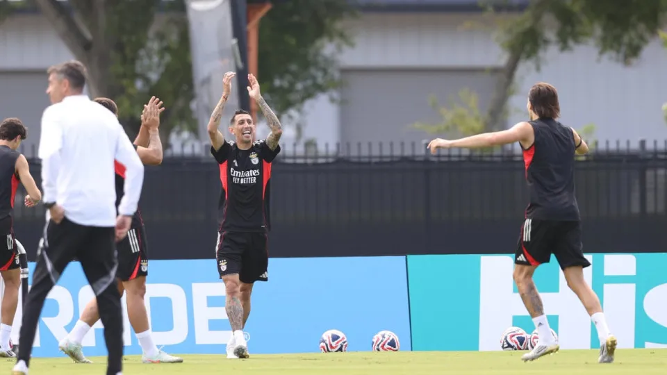 Treino Benfica, EUA