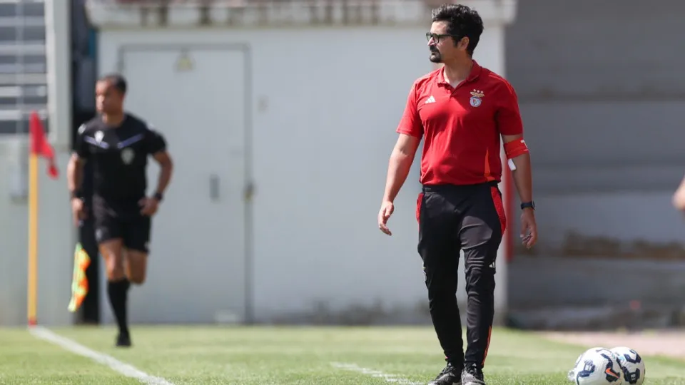 Pedro Faria, Benfica
