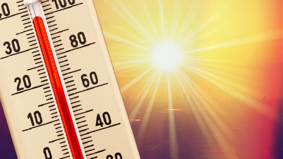 Calor veio em força? 5 dicas (amigas da carteira) para uma casa fresca