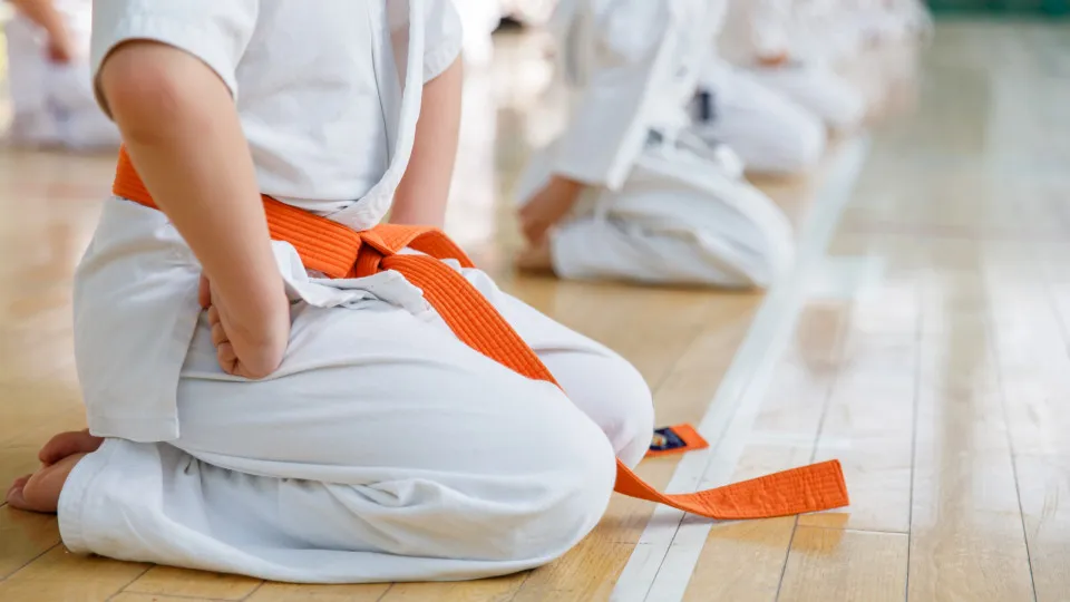 artes marciais, criança, crianças