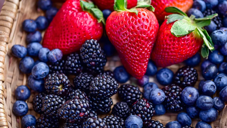 frutos vermelhos