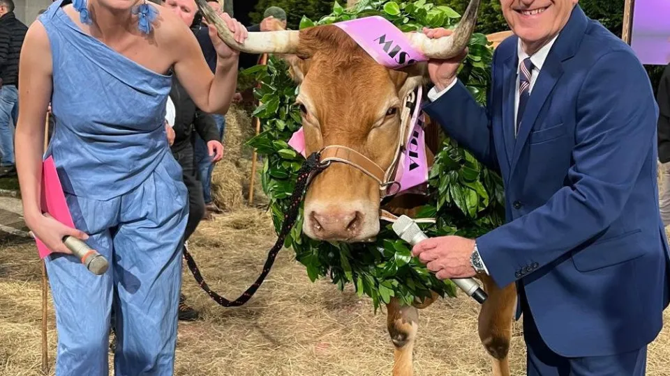 Miss Vaca 2024