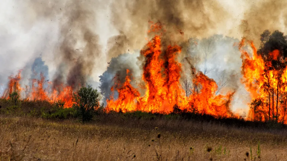 fogo, incêndio, portugal