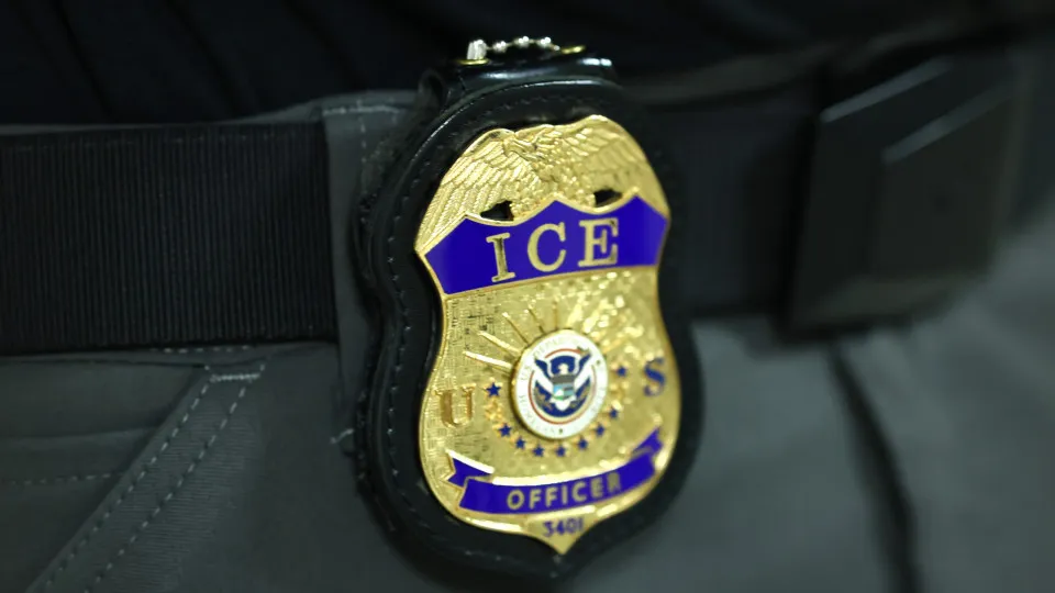 ICE, Serviço de Imigração e Alfândega, Estados Unidos, 