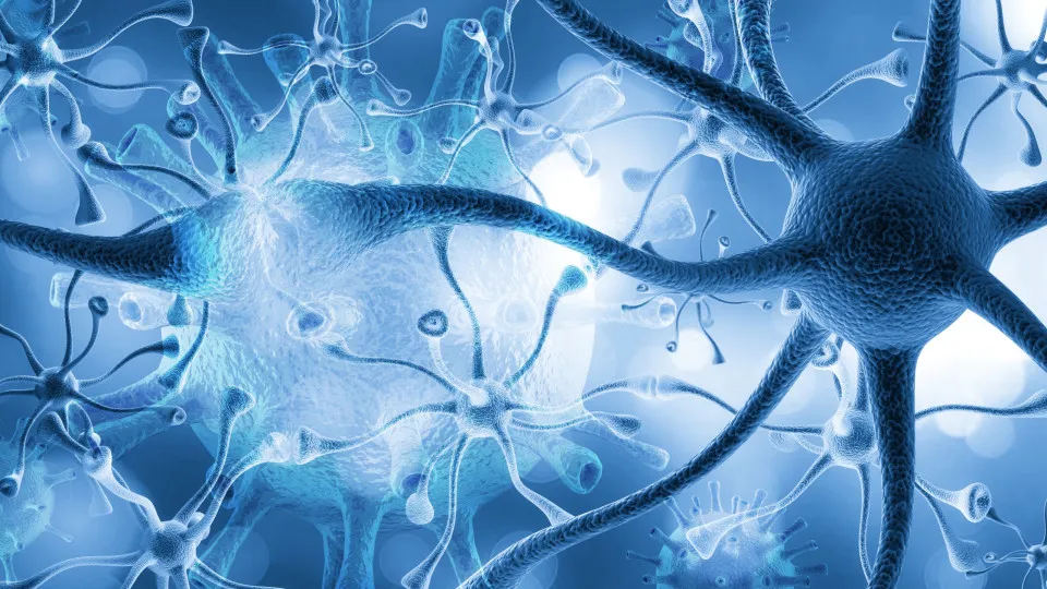 células cerebrais