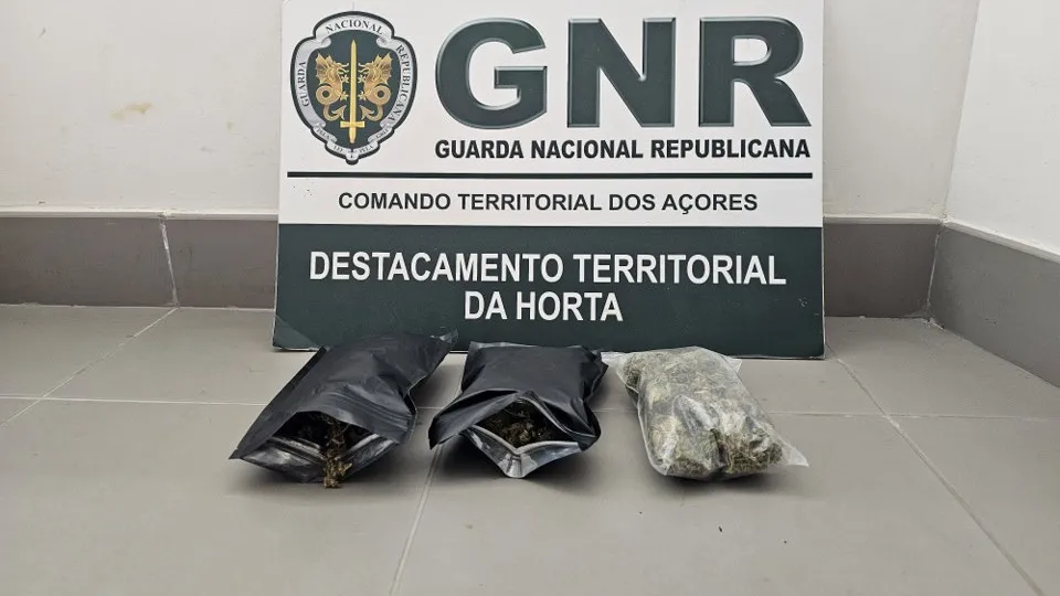 apreensão