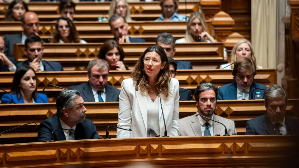Mariana Leitão, Iniciativa Liberal