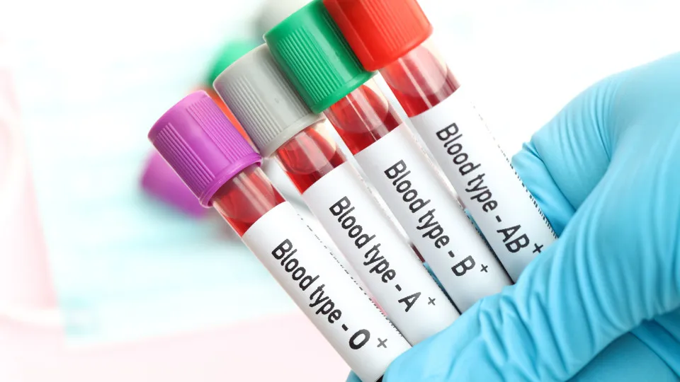 tipo de sangue; amostra