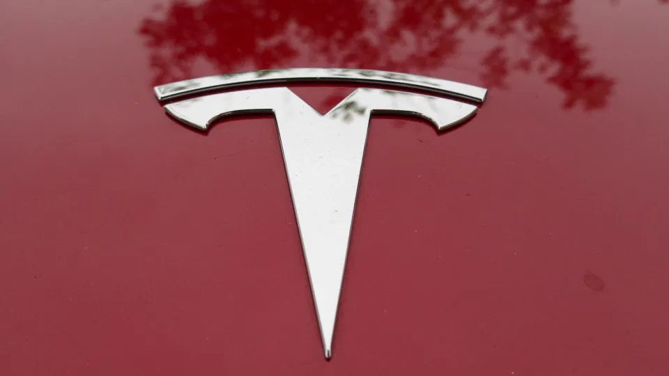 Carros da Tesla a serem expostos.