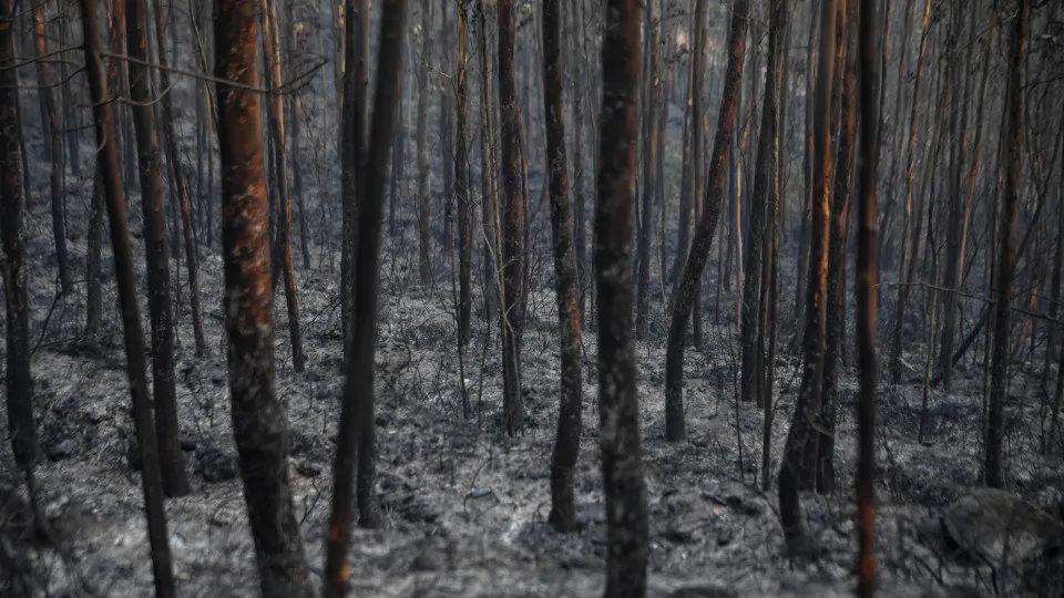 incêndio