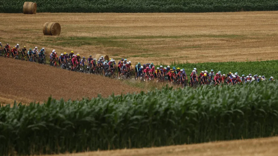 The pack of riders (peloton) cycles during the 2nd stage of the 112th edition of the Tour de France cycling race, 209.1 km between Lauwin-Planque and Boulogne-sur-Mer, Northern France, on July 6, 2025. (Photo by Anne-Christine POUJOULAT / AFP) (Photo by A