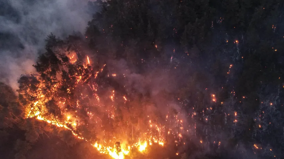 siria, incendios