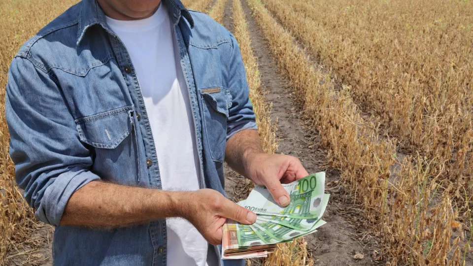 Há um apoio (de até 800€ por hectare) para ajudar na limpeza de terrenos