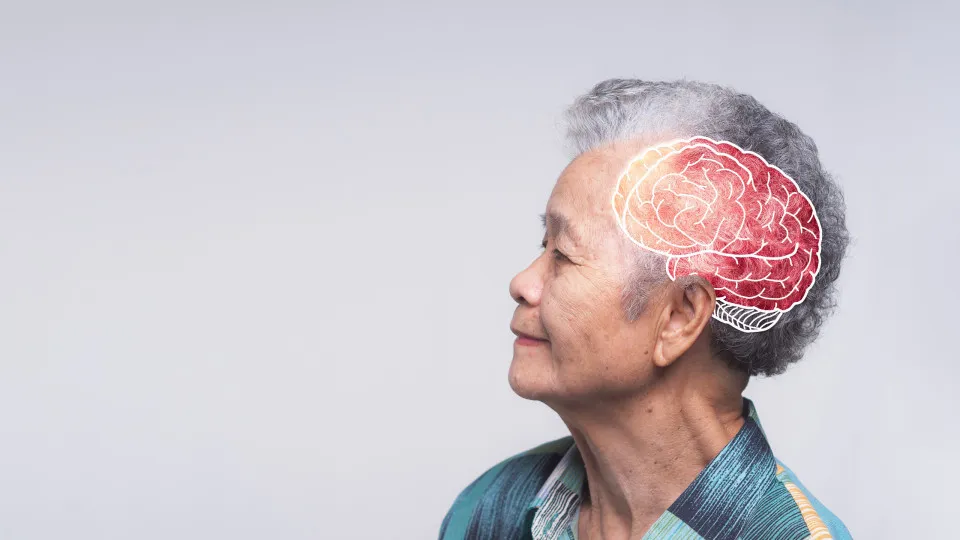 alzheimer; declínio cognitivo