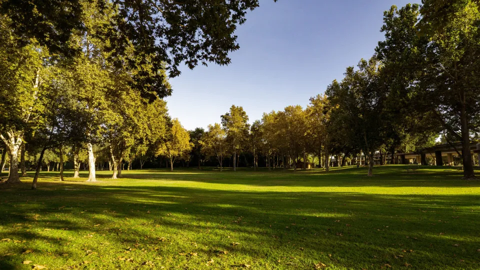 Parque