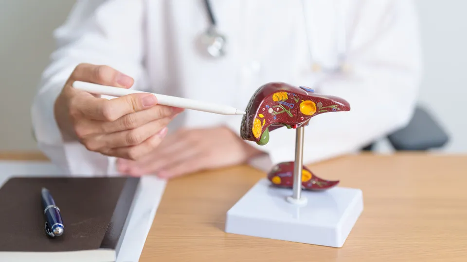 Cancro do fígado mata 1.200 por ano e vai custar 77 milhões em 2027