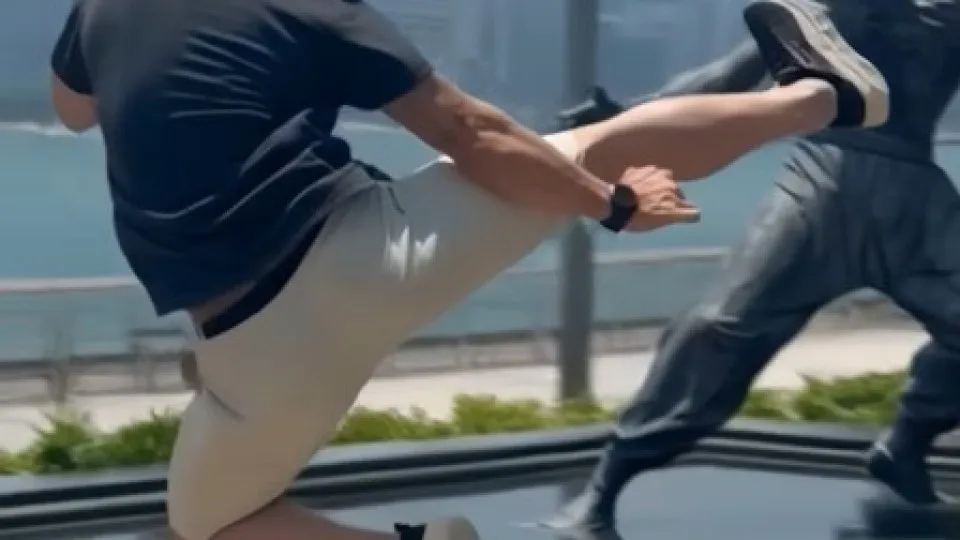 Zlatan Ibrahimovic Bruce Lee