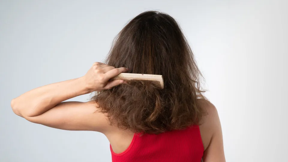 cabelo, estragado, mulher