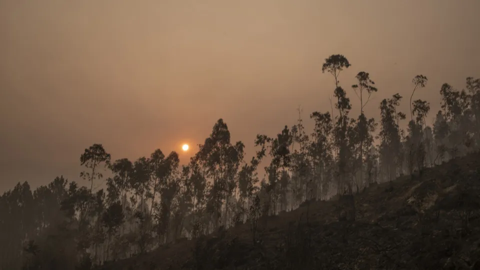 incêndio bombeiros