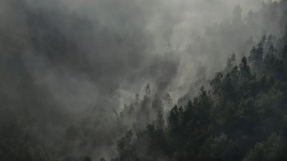 incêndios