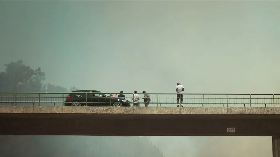 incêndios, pombal, A1, autoestrada, leiria