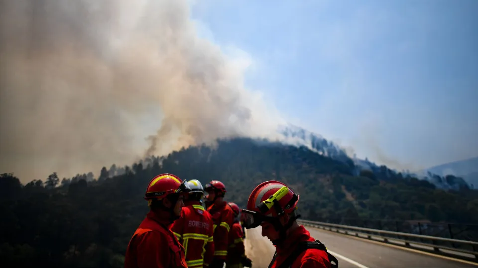 incêndios, nisa, portalegre, bombeiros, fumo