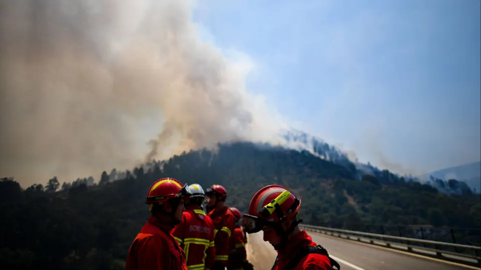 incêndios, nisa, portalegre, bombeiros, fumo