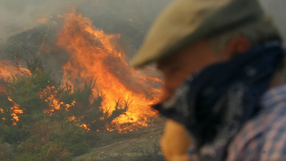 cerquido, ponte de lima, incêndio, fogo, idoso, gola