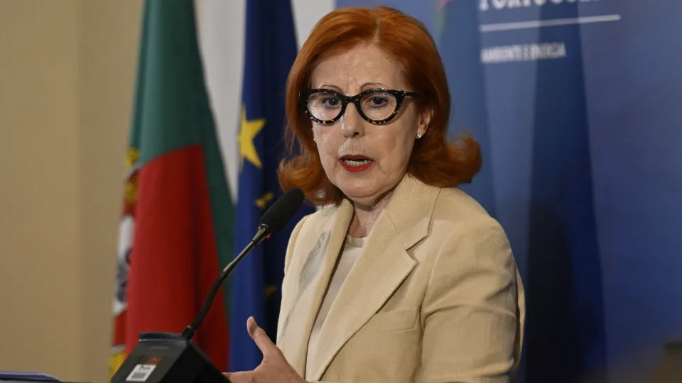 Maria da Graça Carvalho, Ministra do Ambiente e da Energia, 