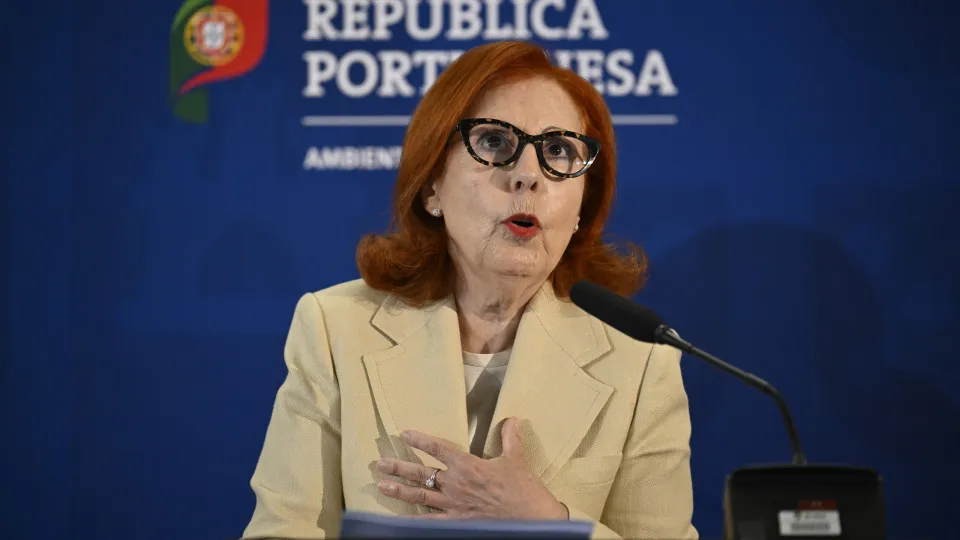 Maria da Graça Carvalho, Ministra do Ambiente e da Energia, 