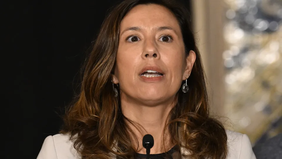 Mariana Leitão, Iniciativa Liberal, 