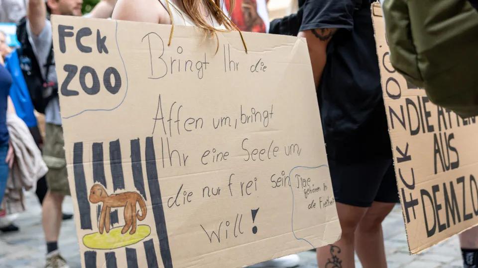 Jardim Zoológico de Nuremberga, Protestos, 