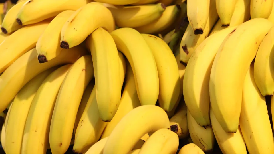 Bananas