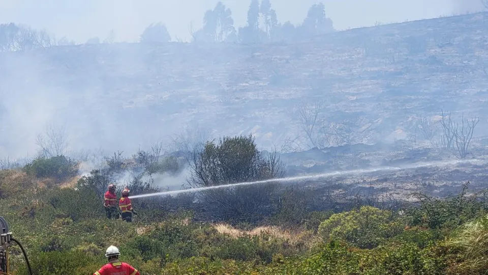 incêndio, fogo, algueirão-mem martins, sintra, bombeiros