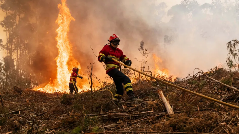 incêndio, fogo, aveiro, bombeiro, mangueira