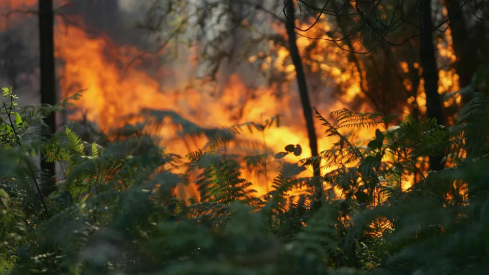 Incêndios ponte de lima