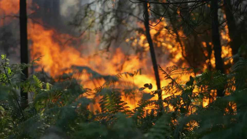 Incêndios ponte de lima