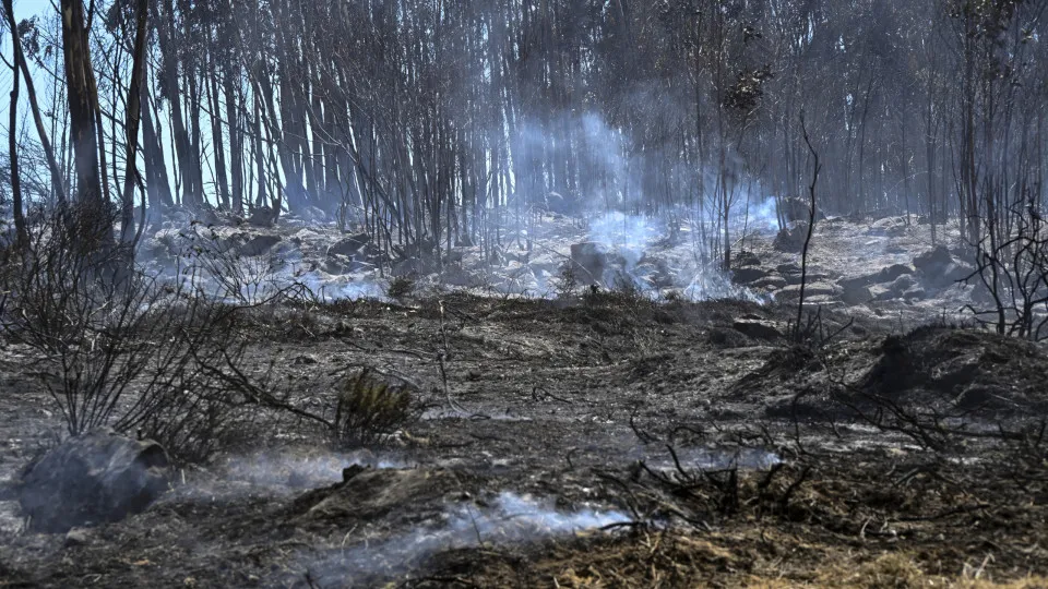 incêndios área ardida