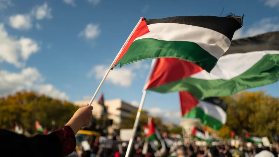 Bandeira, Palestina, 