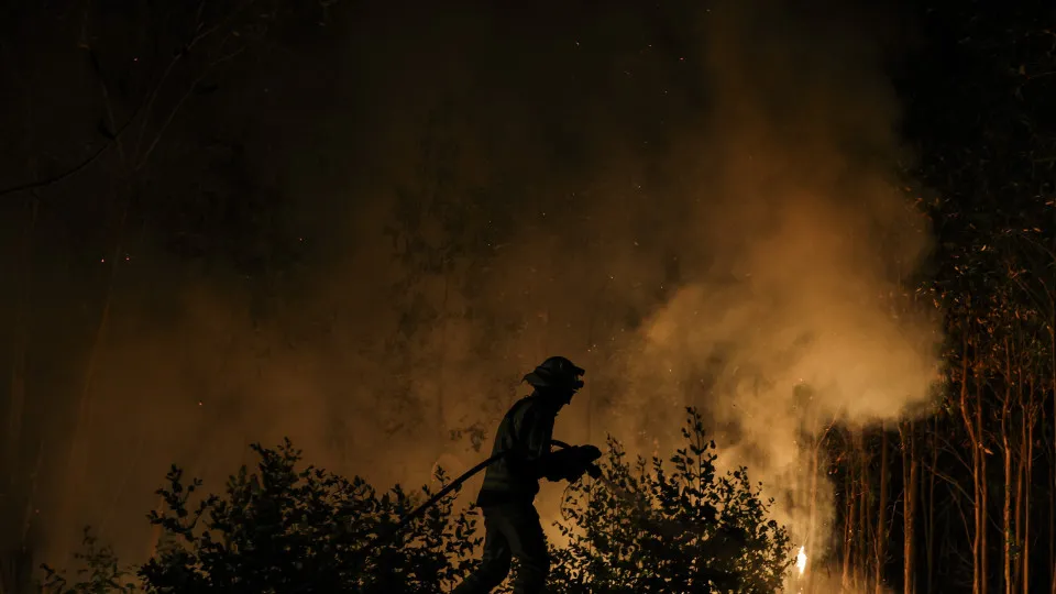 incêndio, arouca, bombeiro, fogo