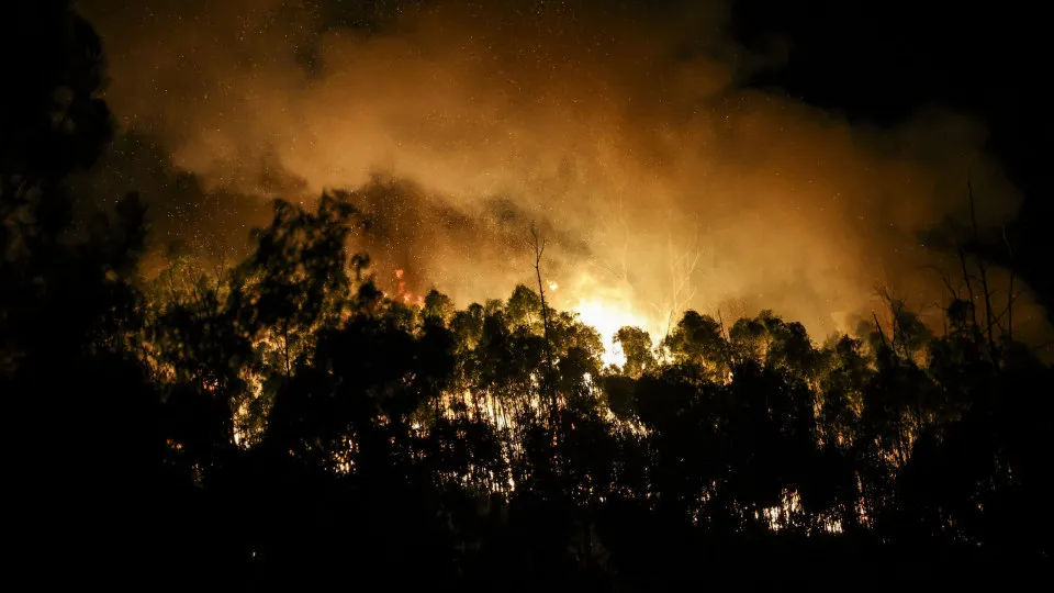 Arouca, incêndio, floresta, fumo, fogo