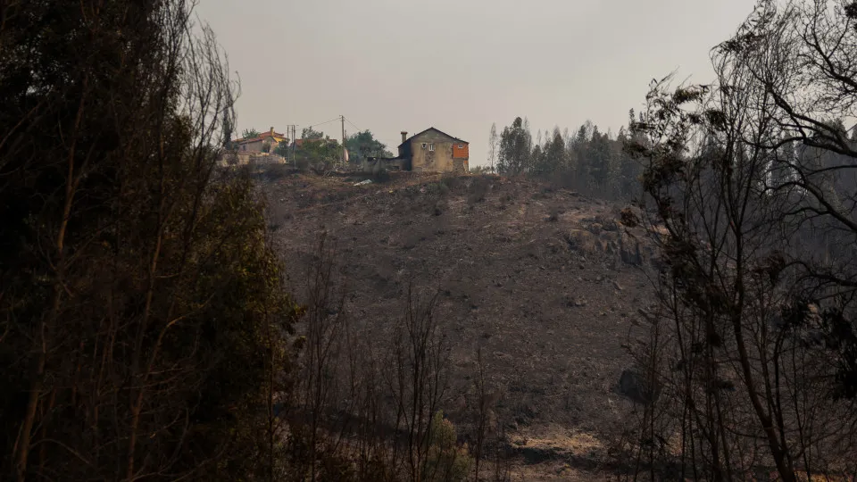 fogo, incêndio, arouca