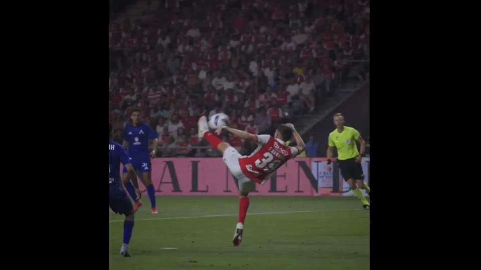 Golo Fran Navarro