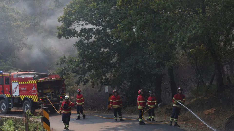 cinfães, incêndio, bombeiros, fogo, fumo