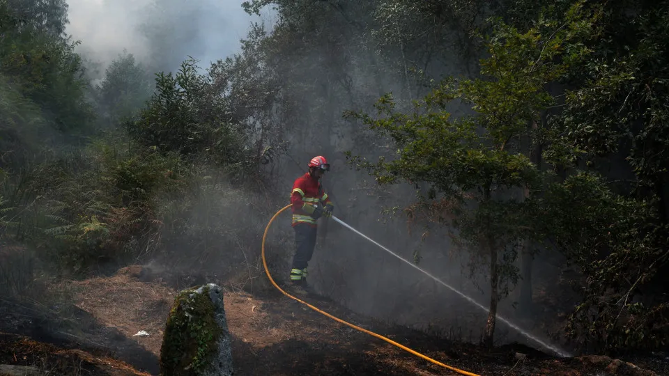 Incêndios, Fogos, Portugal, Bombeiros,