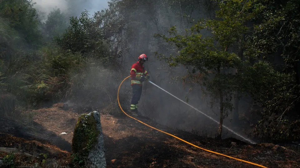 Cinfães, bombeiro, mangueira, incêndio, fogo florestal