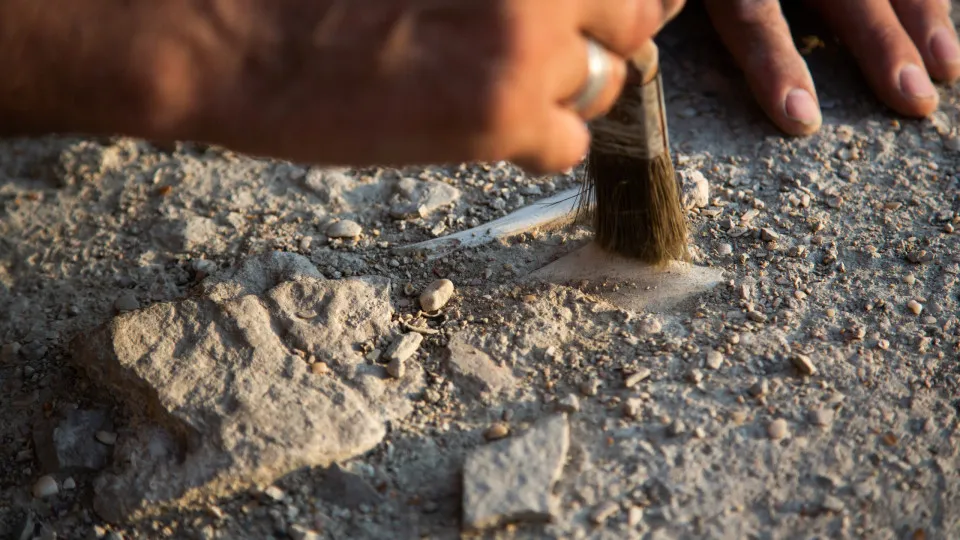 escavação arqueologia