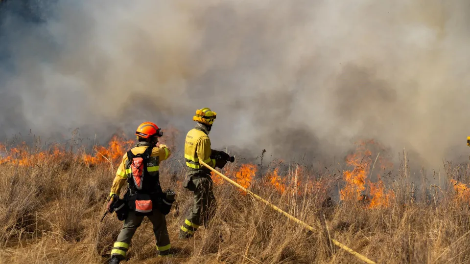 fogo, bombeiros, incêndios