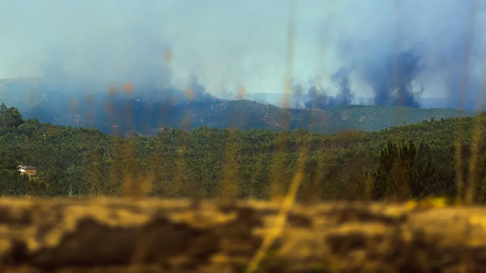 Gondomar, fogo, incêndi